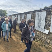 Visite guidée d'un parc pittoresque, labellisé Jardin remarquable