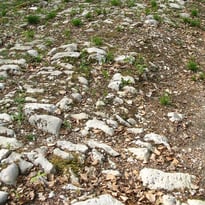 Photos gallo-romaines "pierres et natures"