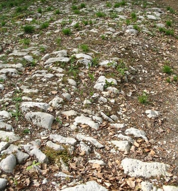 Photos gallo-romaines "pierres et natures"