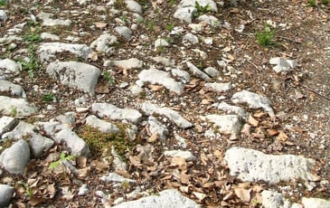 Photos gallo-romaines "pierres et natures"