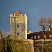 Visite guidée du donjon des Comtes de Champagne à Chaumont