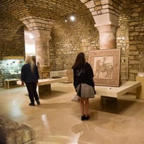Découverte du Musée d'Art et d'Histoire