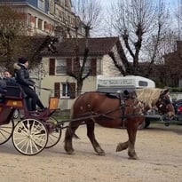 Tour en calèche dans le parc du château