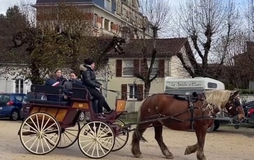Tour en calèche dans le parc du château