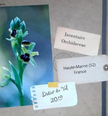 Exposition photographique "Les Orchidées sauvages de la Haute-Marne, État des lieux 2026"
