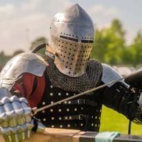 Démonstration de béhourd