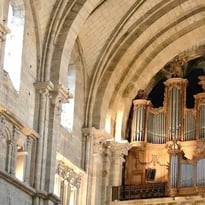 Levez les yeux à la Cathédrale de Langres !