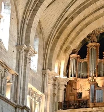 Levez les yeux à la Cathédrale de Langres !